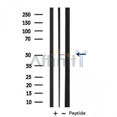 Валидация Affinity DF3774 - 14871