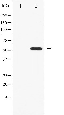 Валидация Affinity AF6297 - 3565