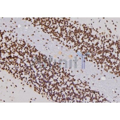 Валидация Affinity DF6546 - 17982