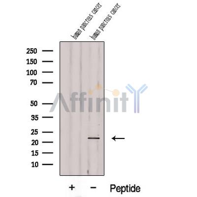 Валидация Affinity DF12596 - 7217