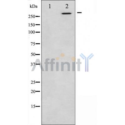 Валидация Affinity DF3915 - 15093