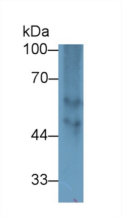 13422