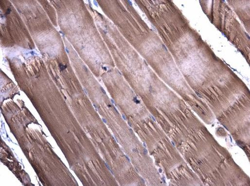 Валидация AssayVector ARM2765(5403)