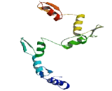 Zinc Finger Protein 562 (ZNF562)