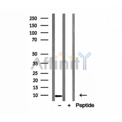 Валидация Affinity DF12152 - 6342