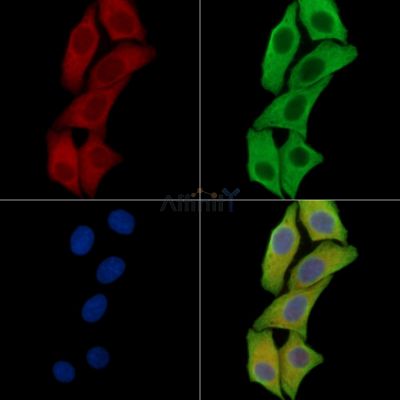 Валидация Affinity DF15953 - 12474