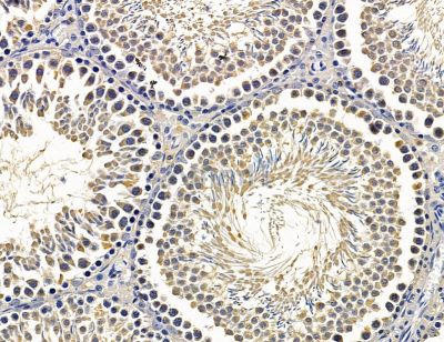 Валидация Affinity DF14861 - 10996