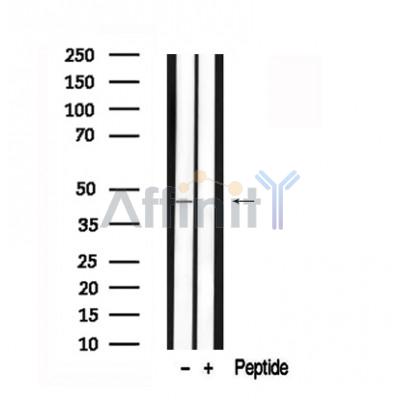Валидация Affinity AF7547 - 4207