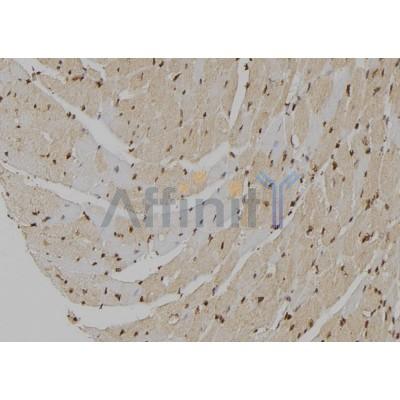 Валидация Affinity DF6755 - 18310