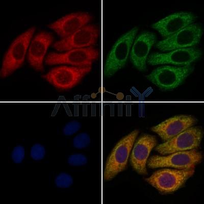 Валидация Affinity DF2497 - 13147