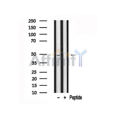 Валидация Affinity AF7692 - 4379