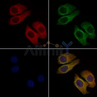 Валидация Affinity DF7846 - 19662