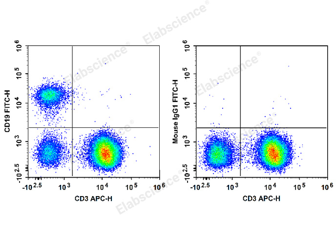 Валидация Elabscience E-AB-F1304C