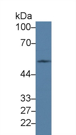 9384