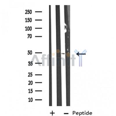 Валидация Affinity DF3563 - 14512