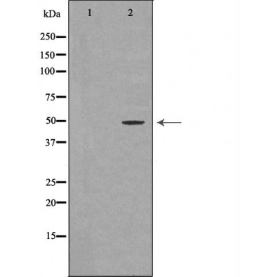 Валидация Affinity DF6705 - 18217