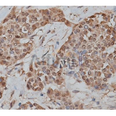 Валидация Affinity DF10151 - 5677