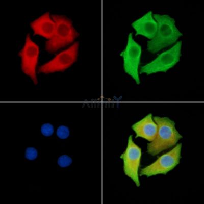 Валидация Affinity DF8761 - 20786