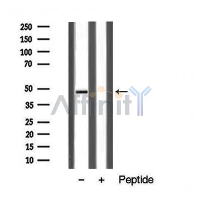 Валидация Affinity DF5170 - 17142