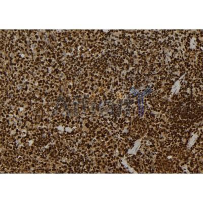 Валидация Affinity AF9034 - 4771