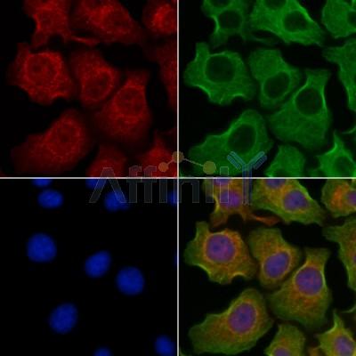 Валидация Affinity DF13566 - 9023