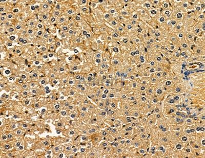 Валидация Affinity DF9895 - 22852