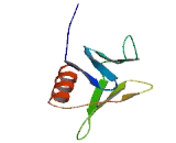 Pleckstrin Homology Domain Containing Family J, Member 1 (PLEKHJ1) Pleckstrin Homology Domain Containing Family J, Member 1 (PLEKHJ1)