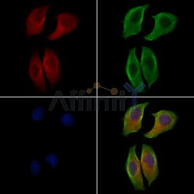 Валидация Affinity AF7839 - 4568