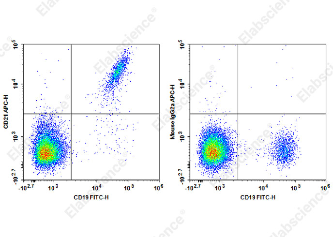 Валидация Elabscience E-AB-F1377E