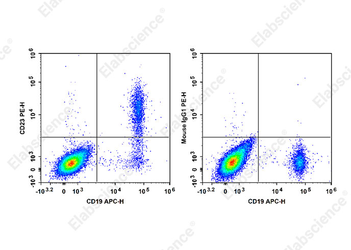 Валидация Elabscience E-AB-F1382D