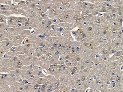 Валидация Affinity DF3384 - 14271