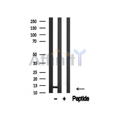 Валидация Affinity AF4656 - 2270