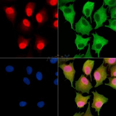 Валидация Affinity DF9713 - 22504