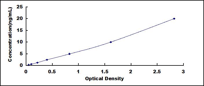 37405