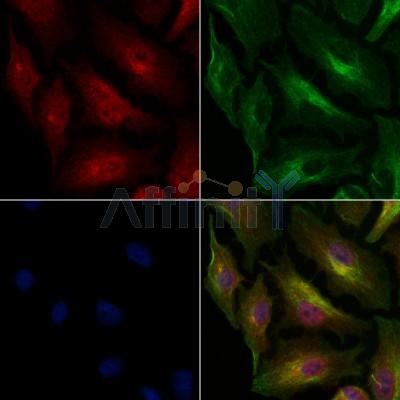 Валидация Affinity AF6383 - 3680