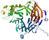 Semaphorin 3F (SEMA3F) Semaphorin 3F (SEMA3F)