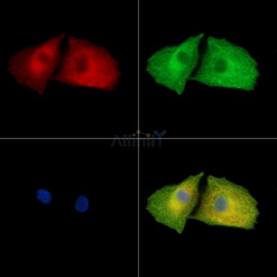 Валидация Affinity DF15809 - 12299