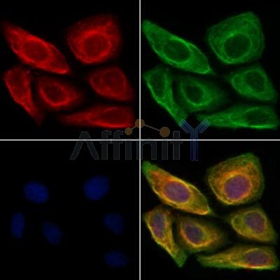 Валидация Affinity DF12190 - 6428