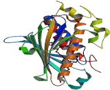 Phosphatidylinositol Transfer Protein Beta (PITPNb)