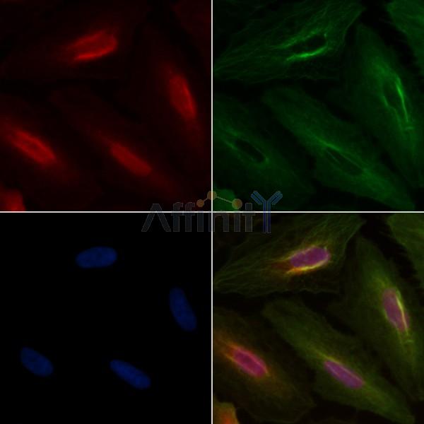 Валидация Affinity DF6648 - 18123