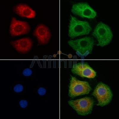 Валидация Affinity DF7140 - 18792