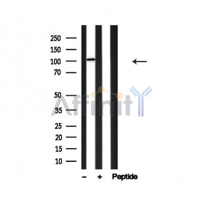 Валидация Affinity AF4746 - 2365