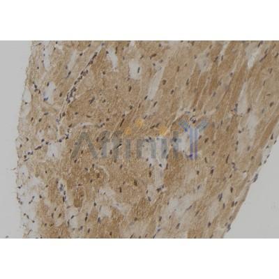 Валидация Affinity DF12037 - 6072