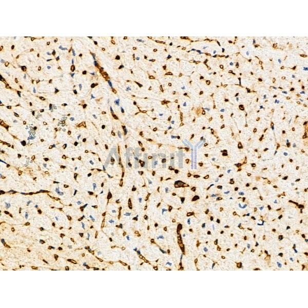 Валидация Affinity DF6091 - 17308