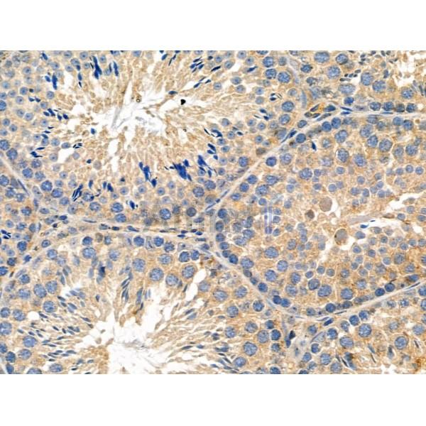 Валидация Affinity DF4451 - 15966