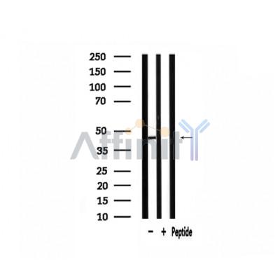 Валидация Affinity DF3641 - 14620