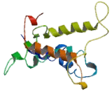 G Protein Coupled Receptor 75 (GPR75) G Protein Coupled Receptor 75 (GPR75)