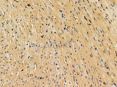 Валидация Affinity DF13858 - 9571