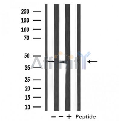 Валидация Affinity DF3286 - 14151