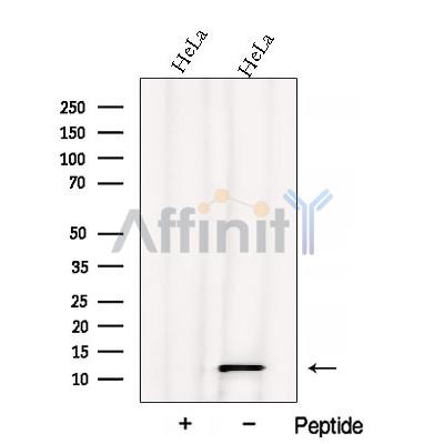 Валидация Affinity DF12846 - 7572